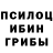 Псилоцибиновые грибы прущие грибы phos_phoros