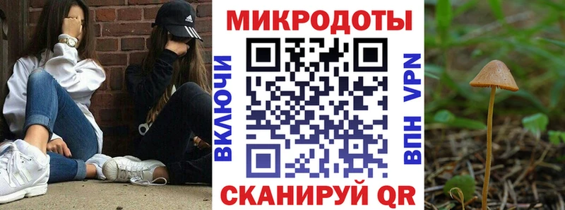 Псилоцибиновые грибы GOLDEN TEACHER  цены наркотик  Адыгейск 